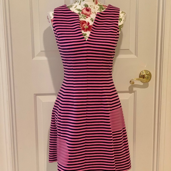 Lilly Pulitzer Brielle dress Pink/Navy stripe - S - Picture 5 of 16